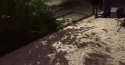 7404494744079681468.mp4