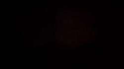 304.mp4