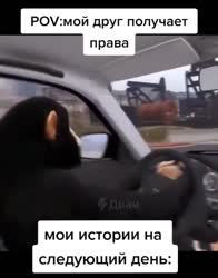 video.mp4
