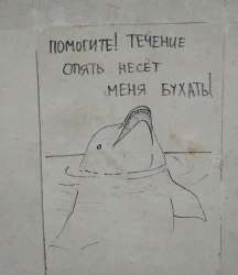 156235848719422539.jpg