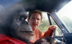 funkeymonkey03.jpg