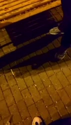 video2025-05-3012-05-12.mp4