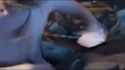 16991286924610.mp4