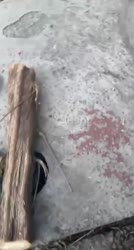 хохлушка пыхает газ.mp4