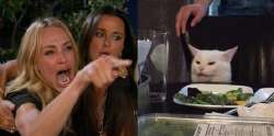 WomanYellingAtACatmeme.jpg