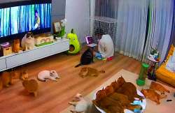 IMG20250528161728642.jpg