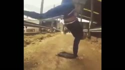 17418512844650.mp4