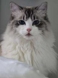 IMG20250528230434972.jpg