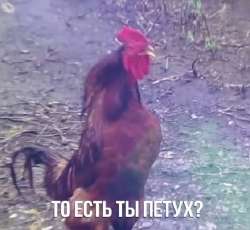 IMG7810.png