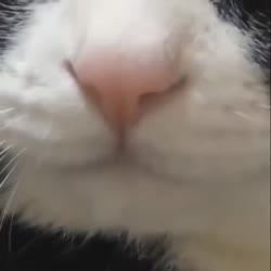 17479041143380.webm