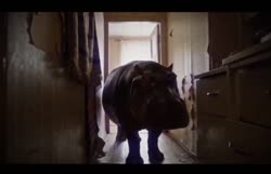 Без названия (6).mp4