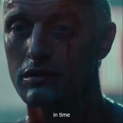 17471605683130.webm