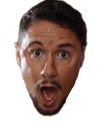 wlg-1.png