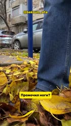 document5314255892533769007.mp4