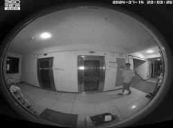1748488479172745.webm