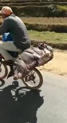 1748596659633.mp4