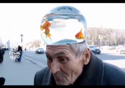 Без названия (5).mp4