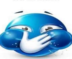 IMG2223.jpeg