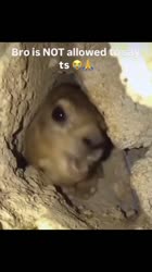 AQPJGhmixj9HT9wUe5NBajfThJJwkV0d9ApMc7JlNEMRRsuUts55MSFs8n4VoYNEYZsK6UZVW0.mp4