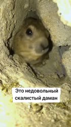 VID20250526203918844.mp4