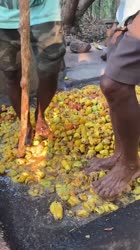 Goa’s Best-Kept Secret Is in This Bottle #shorts-hm0U9ykoMGw.mp4