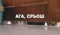 17404764623980.jpg
