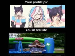 17485264384020.webm