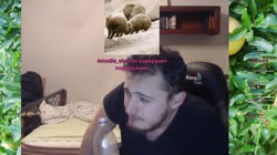16743971942310.mp4