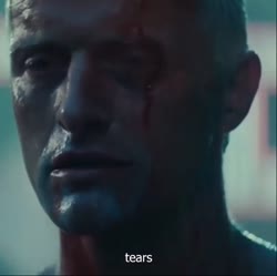17471605683130.webm
