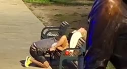 video5339320965190929504.mp4
