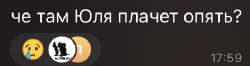 IMG3717.jpeg