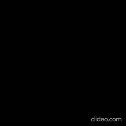 17455866696260.mp4