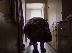 VID20250531114513112.mp4