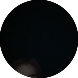 -2193070517054070895.mp4