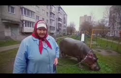 1595178507156.mp4