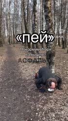 AECD0323-5E6C-481D-A8CD-420AD8AB8700.mp4
