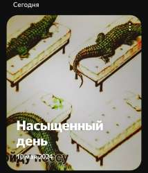 IMG20250601193038.jpg
