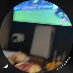 video (19).mp4