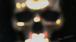 7099323434232322.mp4