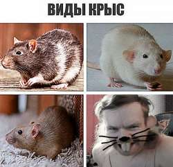 17488727126280.jpg
