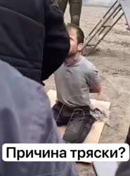 17136150.mp4