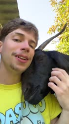 ssstik.io@danieljubnelson1748331635824.mp4