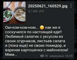 Screenshot2025-06-21-16-25-35-31948cd9899890cbd5c2798760b2b95377.jpg