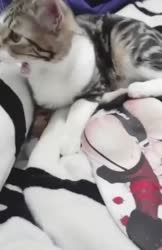 VID20250601235011590.mp4