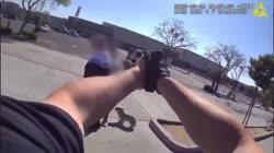 748736984168.mp4