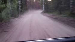VID20250603165913486.mp4