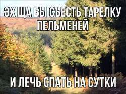 17485786047410.jpg