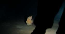 Hurry.Up.Tomorrow.2025.1080p.WEB.H264-SLOT.mkvsnapshot01.11.03.959.jpg