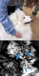nom-are-we-really.jpg