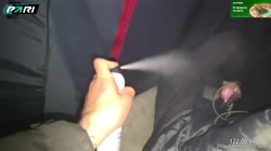 17472105427110.mp4